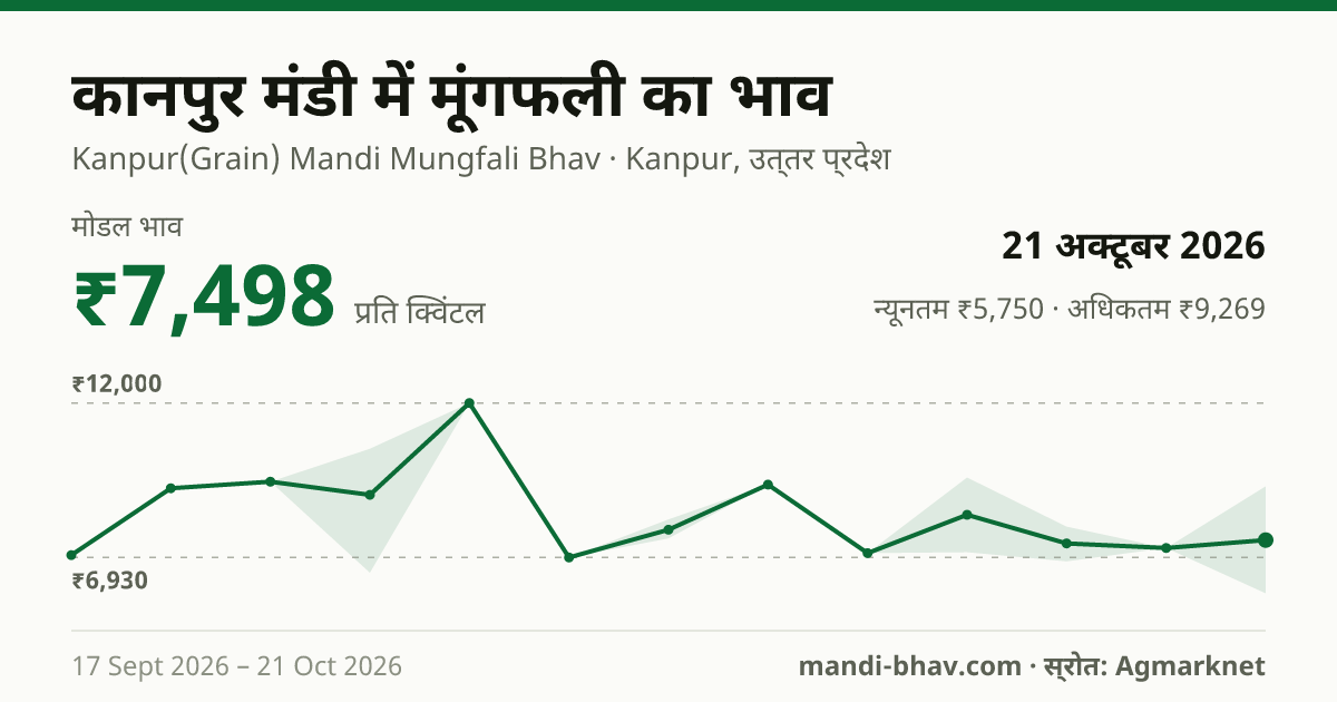 कानपुर मंडी में मूंगफली का भाव 21 अक्टूबर 2026: मोडल ₹7,498 प्रति क्विंटल, भाव के रुझान का चार्ट