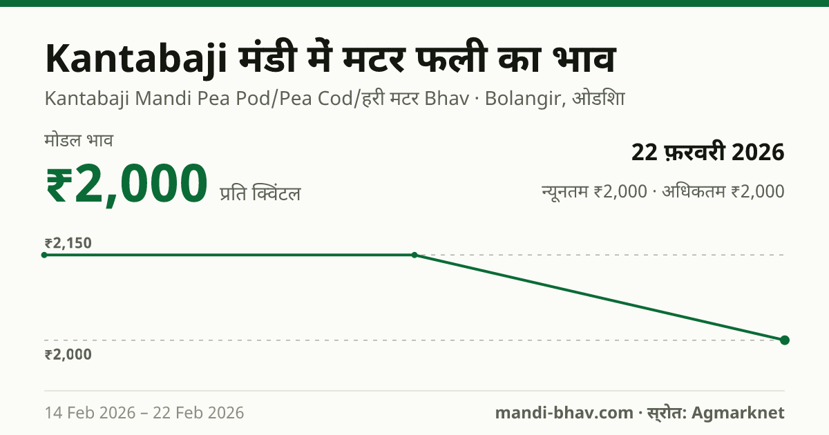 Kantabaji मंडी में मटर फली का भाव 22 फ़रवरी 2026: मोडल ₹2,000 प्रति क्विंटल, भाव के रुझान का चार्ट