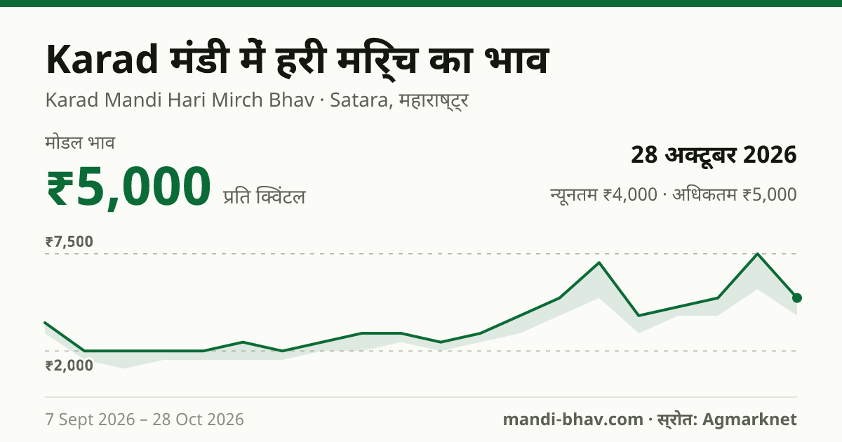 Karad मंडी में हरी मिर्च का भाव 28 अक्टूबर 2026: मोडल ₹5,000 प्रति क्विंटल, भाव के रुझान का चार्ट