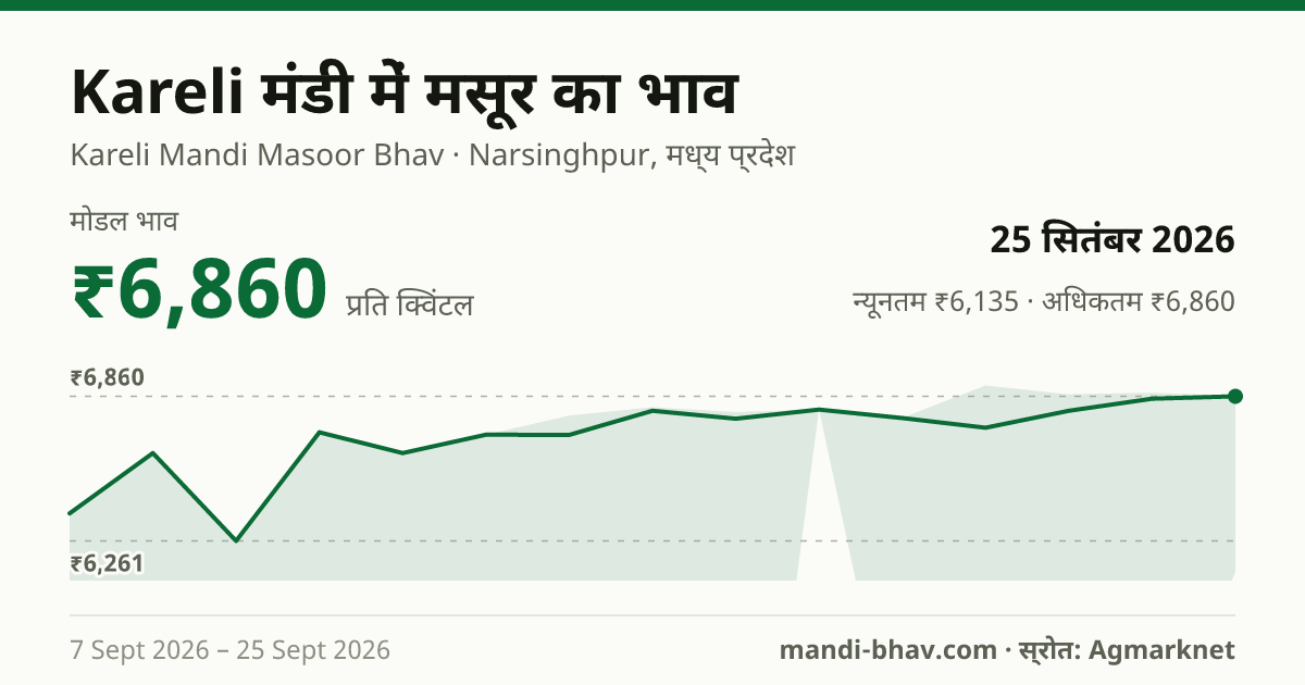 Kareli मंडी में मसूर का भाव 25 सितंबर 2026: मोडल ₹6,860 प्रति क्विंटल, भाव के रुझान का चार्ट