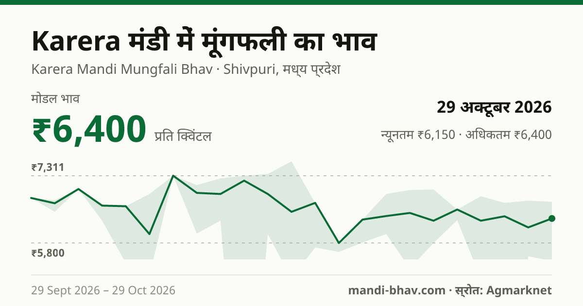Karera मंडी में मूंगफली का भाव 29 अक्टूबर 2026: मोडल ₹6,550 प्रति क्विंटल, भाव के रुझान का चार्ट