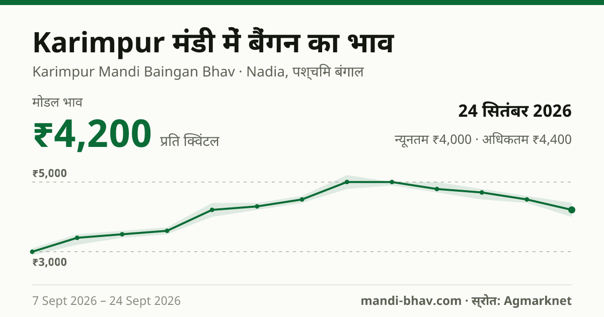Karimpur मंडी में बैंगन का भाव 24 सितंबर 2026: मोडल ₹4,200 प्रति क्विंटल, भाव के रुझान का चार्ट