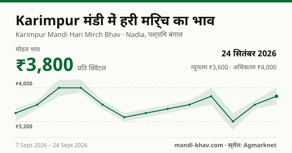 Karimpur मंडी में हरी मिर्च का भाव 24 सितंबर 2026: मोडल ₹3,800 प्रति क्विंटल, भाव के रुझान का चार्ट