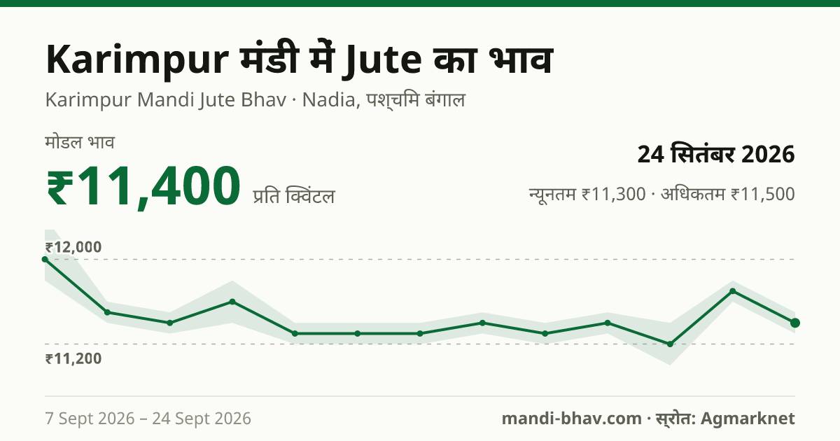 Karimpur मंडी में Jute का भाव 24 सितंबर 2026: मोडल ₹11,400 प्रति क्विंटल, भाव के रुझान का चार्ट