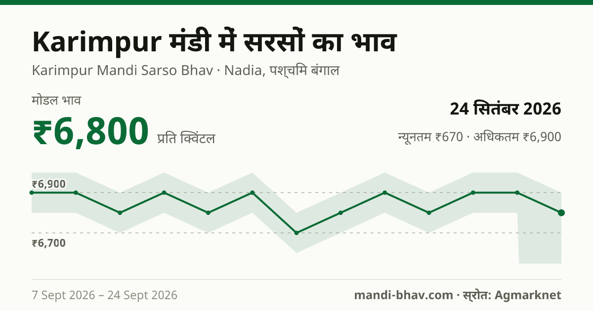 Karimpur मंडी में सरसों का भाव 24 सितंबर 2026: मोडल ₹6,800 प्रति क्विंटल, भाव के रुझान का चार्ट