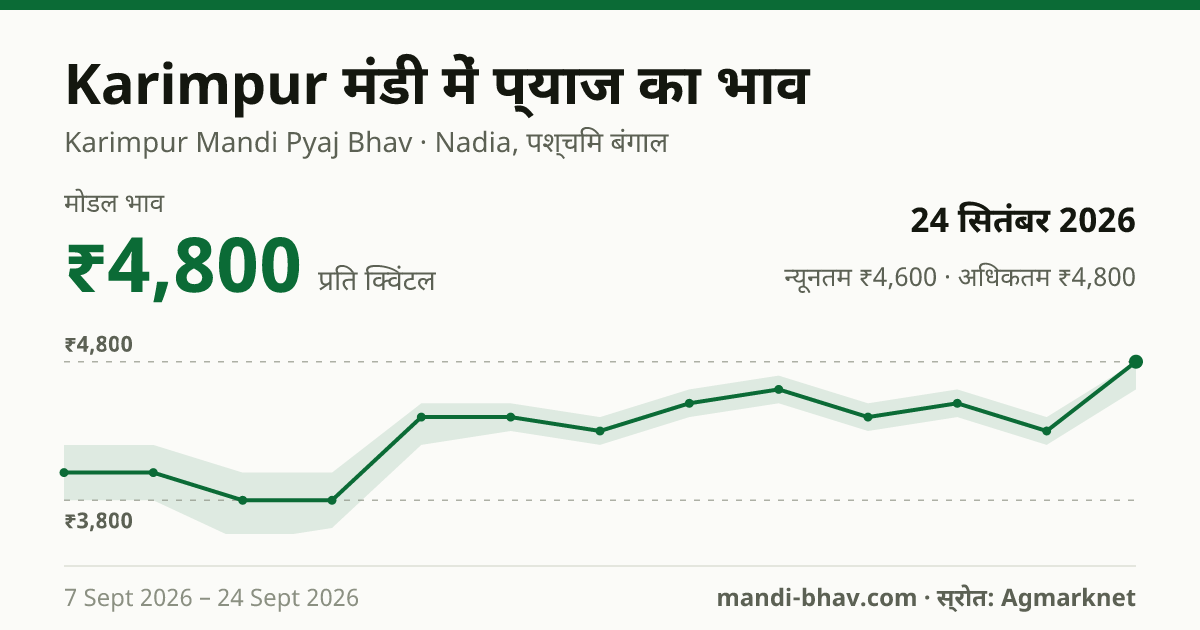 Karimpur मंडी में प्याज का भाव 24 सितंबर 2026: मोडल ₹4,800 प्रति क्विंटल, भाव के रुझान का चार्ट