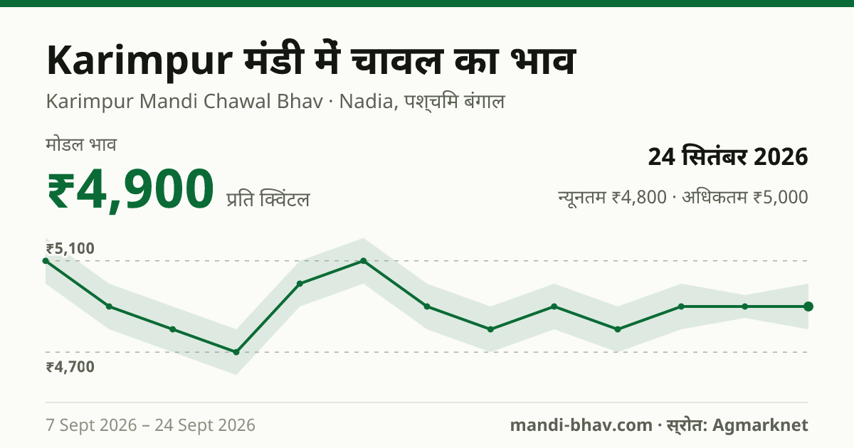 Karimpur मंडी में चावल का भाव 24 सितंबर 2026: मोडल ₹4,900 प्रति क्विंटल, भाव के रुझान का चार्ट