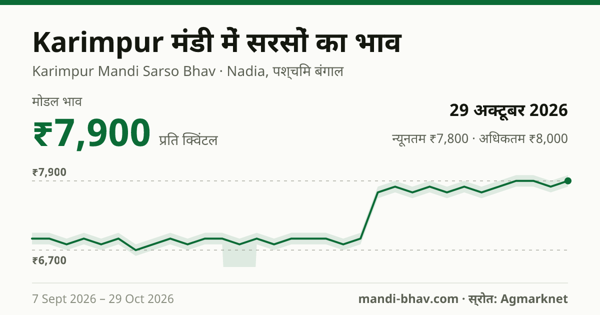 Karimpur मंडी में सरसों का भाव 29 अक्टूबर 2026: मोडल ₹7,900 प्रति क्विंटल, भाव के रुझान का चार्ट