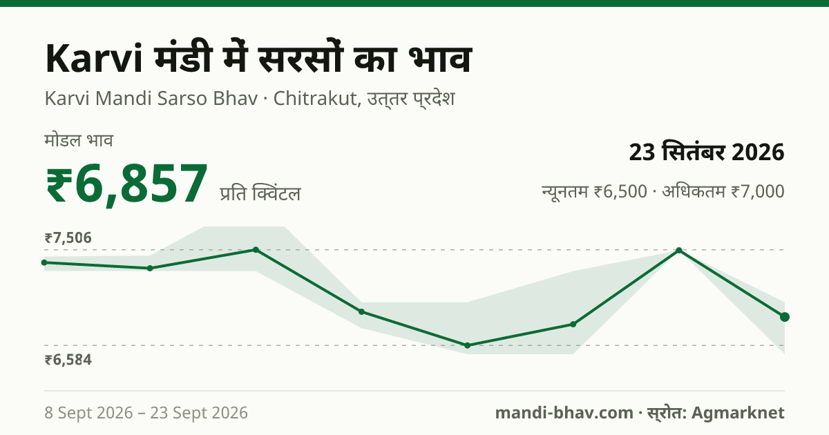 Karvi मंडी में सरसों का भाव 23 सितंबर 2026: मोडल ₹6,857 प्रति क्विंटल, भाव के रुझान का चार्ट