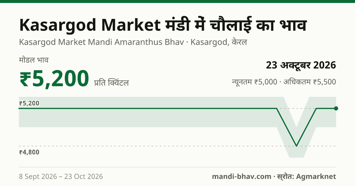 Kasargod Market मंडी में चौलाई का भाव 23 अक्टूबर 2026: मोडल ₹5,200 प्रति क्विंटल, भाव के रुझान का चार्ट