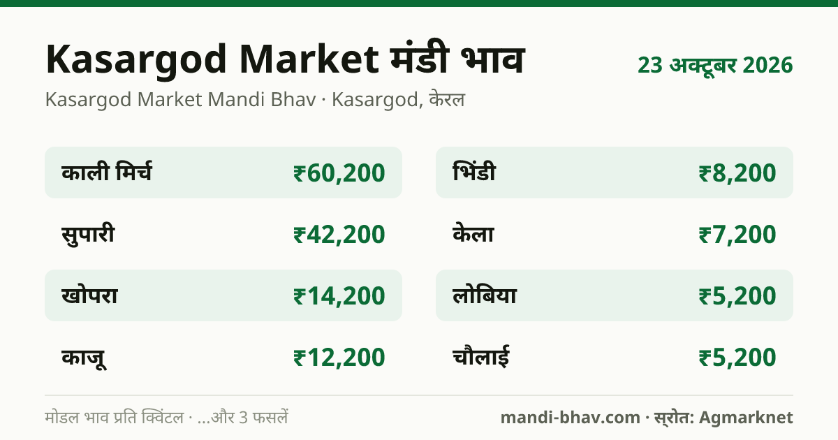 Kasargod Market मंडी भाव 23 अक्टूबर 2026: फसलवार मोडल रेट प्रति क्विंटल