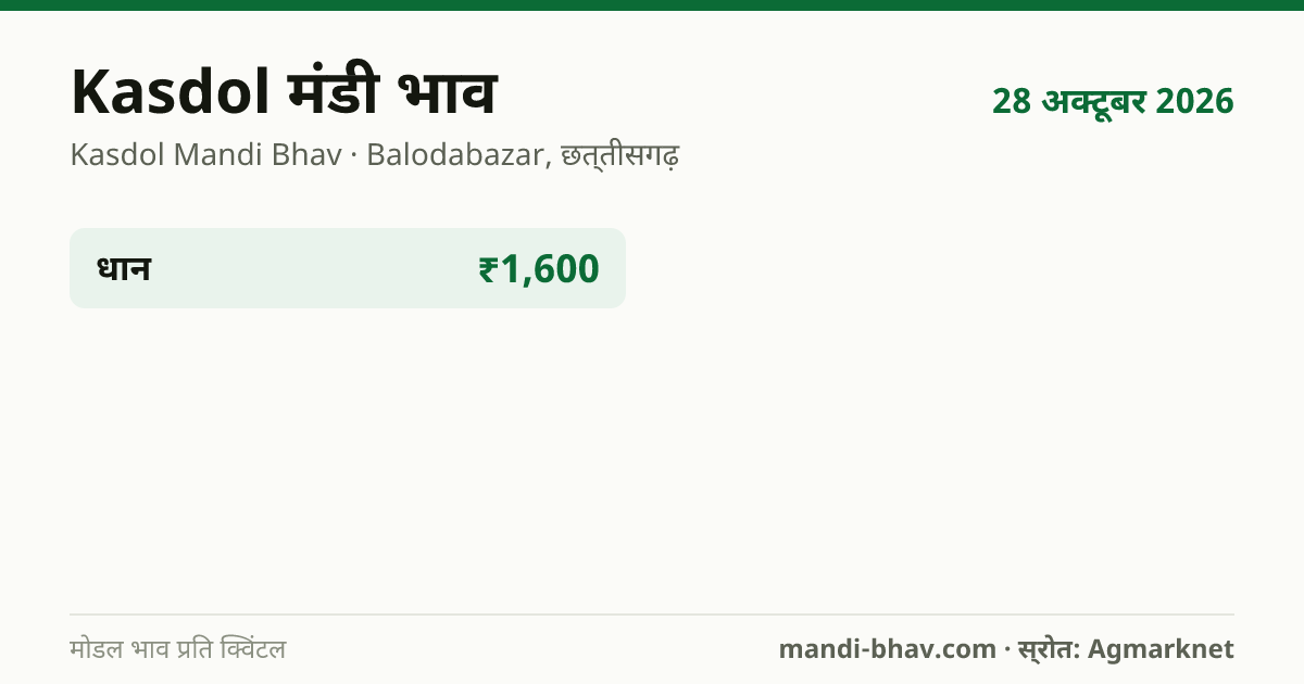 Kasdol मंडी भाव 28 अक्टूबर 2026: फसलवार मोडल रेट प्रति क्विंटल