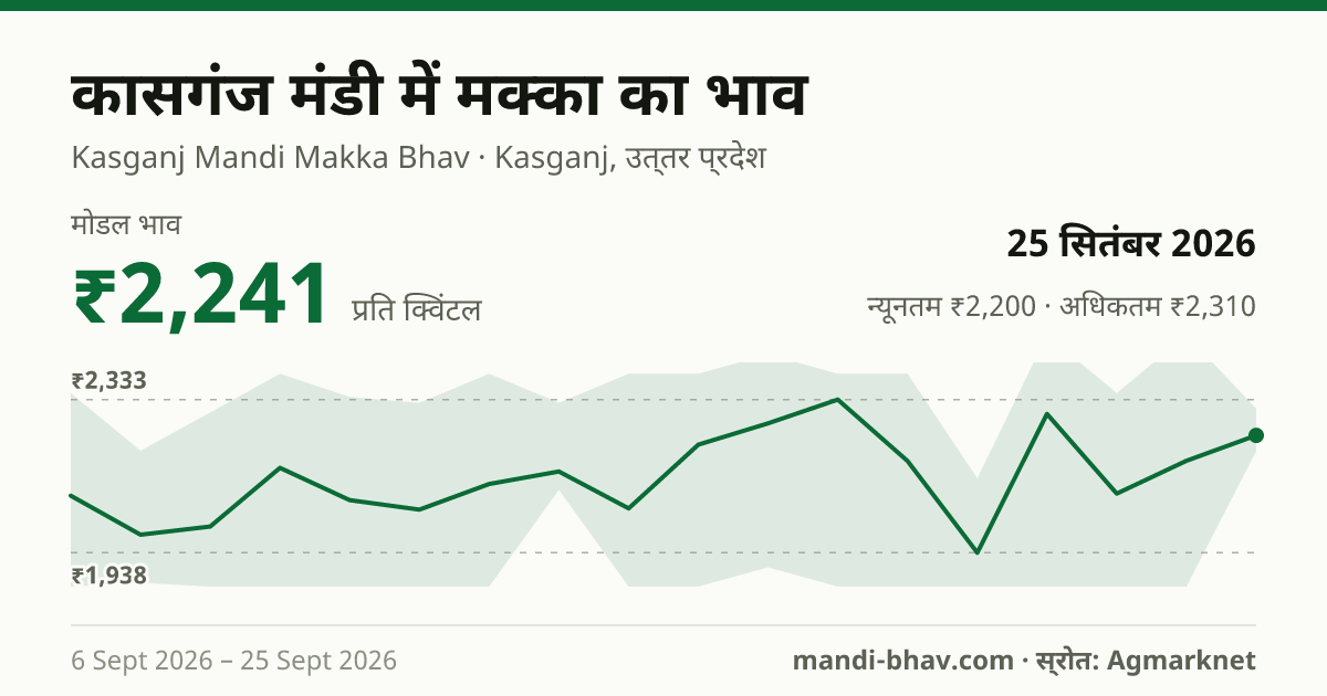 कासगंज मंडी में मक्का का भाव 25 सितंबर 2026: मोडल ₹2,241 प्रति क्विंटल, भाव के रुझान का चार्ट