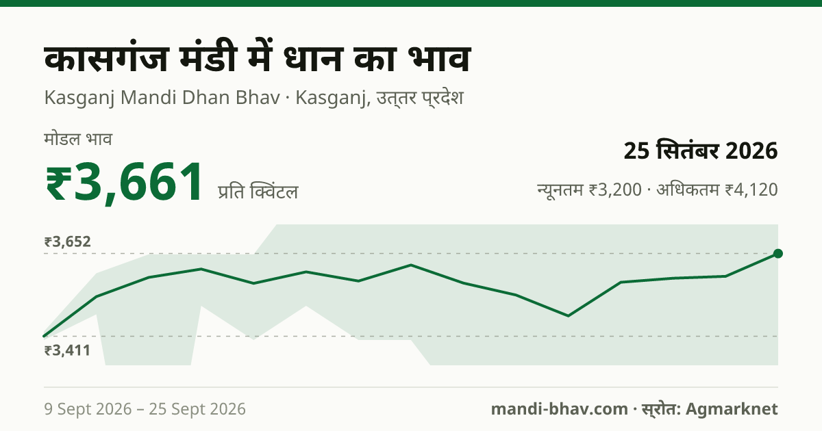 कासगंज मंडी में धान का भाव 25 सितंबर 2026: मोडल ₹3,661 प्रति क्विंटल, भाव के रुझान का चार्ट
