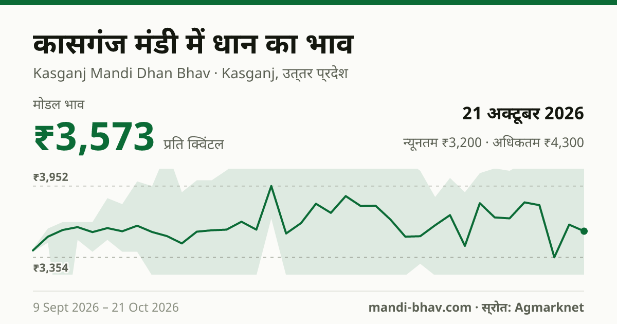 कासगंज मंडी में धान का भाव 21 अक्टूबर 2026: मोडल ₹3,573 प्रति क्विंटल, भाव के रुझान का चार्ट