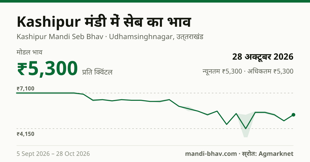 Kashipur मंडी में सेब का भाव 28 अक्टूबर 2026: मोडल ₹5,300 प्रति क्विंटल, भाव के रुझान का चार्ट