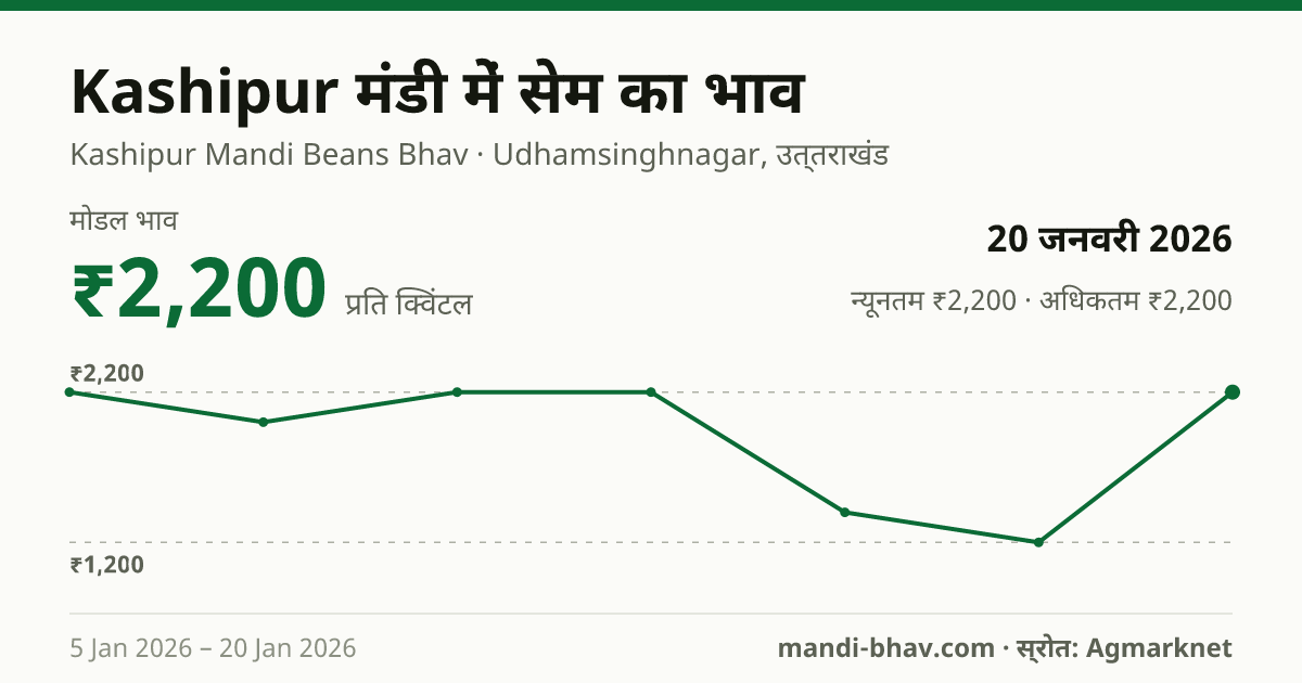 Kashipur मंडी में सेम का भाव 20 जनवरी 2026: मोडल ₹2,200 प्रति क्विंटल, भाव के रुझान का चार्ट