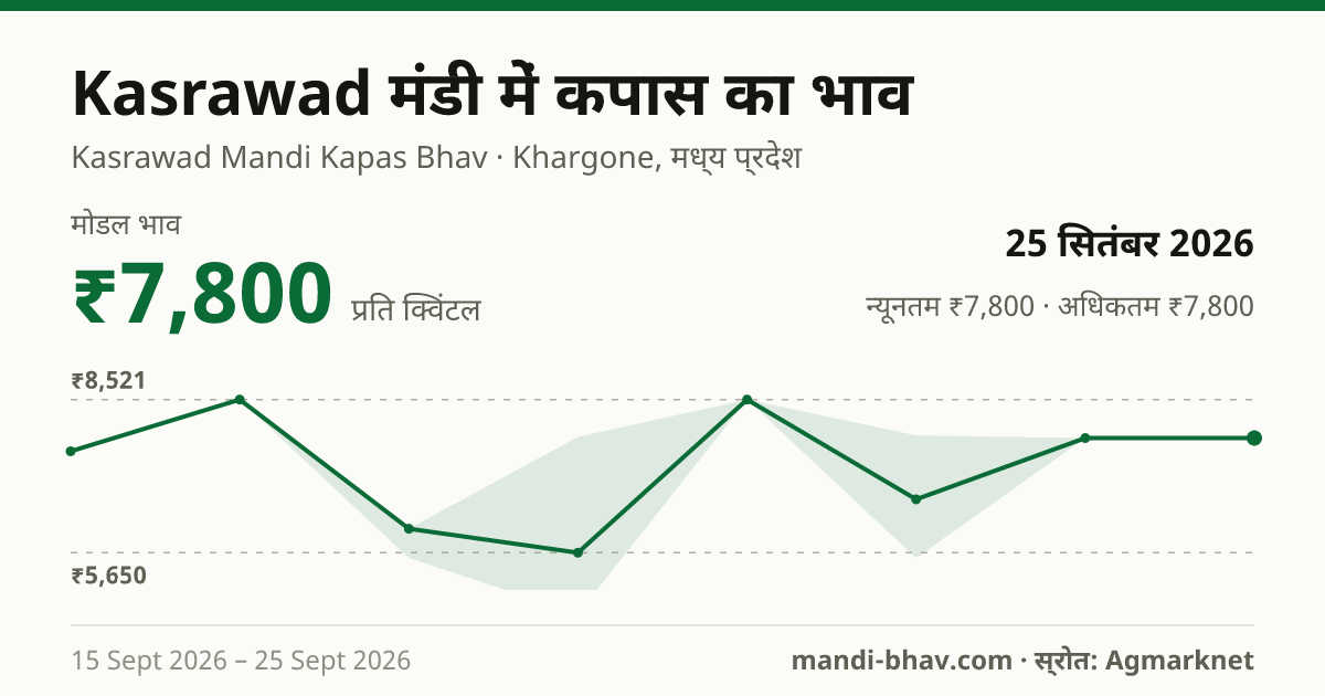Kasrawad मंडी में कपास का भाव 25 सितंबर 2026: मोडल ₹7,800 प्रति क्विंटल, भाव के रुझान का चार्ट