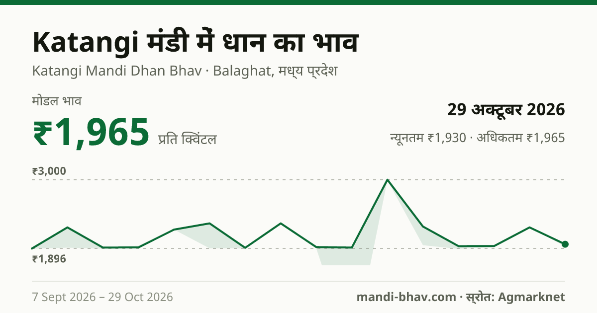 Katangi मंडी में धान का भाव 29 अक्टूबर 2026: मोडल ₹1,965 प्रति क्विंटल, भाव के रुझान का चार्ट