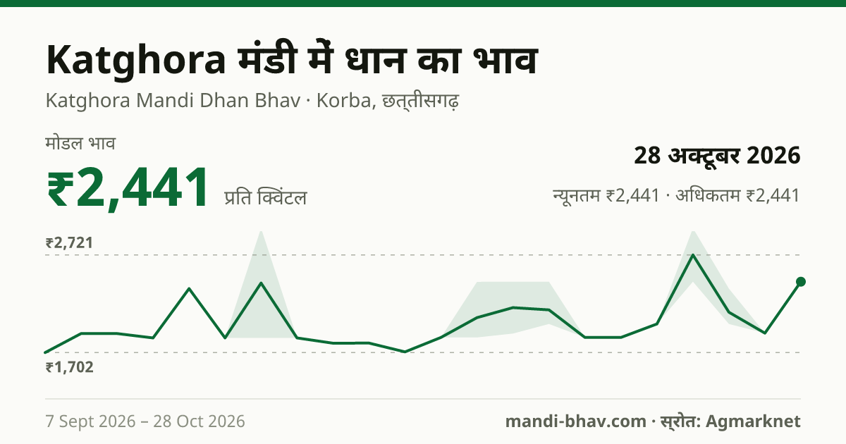 Katghora मंडी में धान का भाव 28 अक्टूबर 2026: मोडल ₹2,441 प्रति क्विंटल, भाव के रुझान का चार्ट