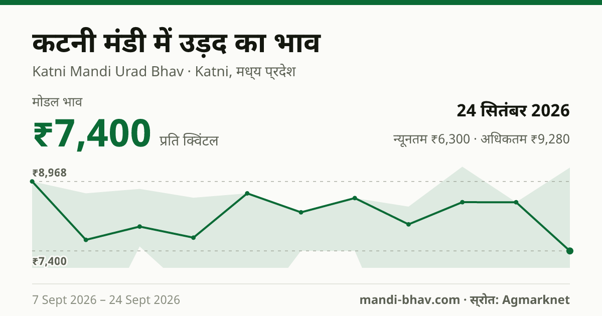 कटनी मंडी में उड़द का भाव 24 सितंबर 2026: मोडल ₹7,400 प्रति क्विंटल, भाव के रुझान का चार्ट