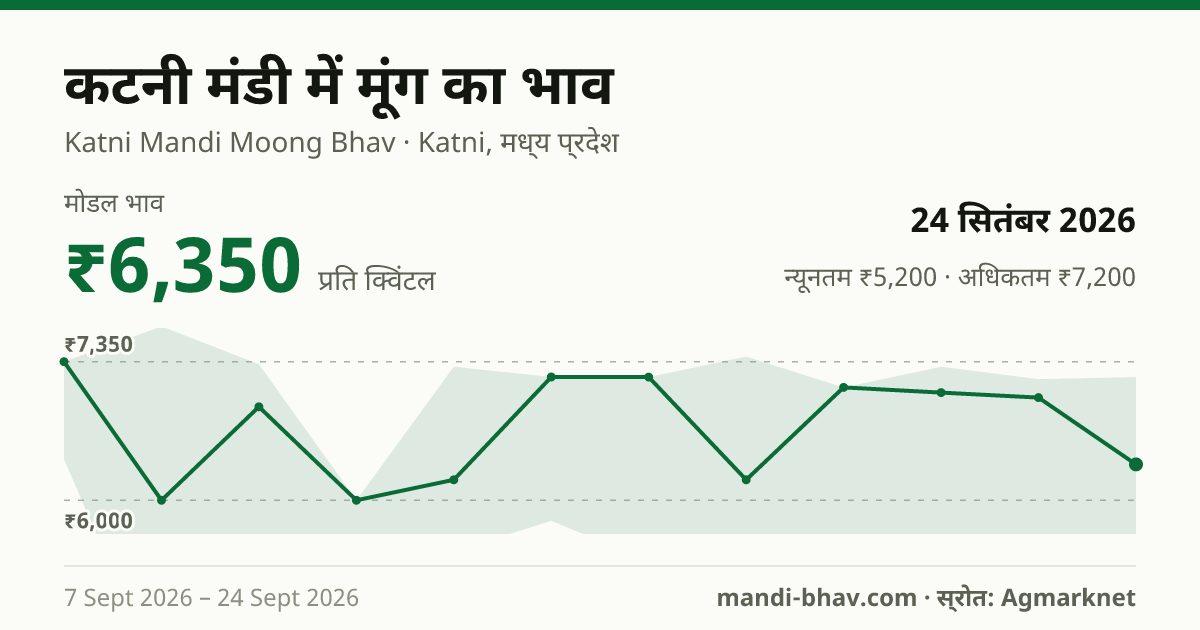 कटनी मंडी में मूंग का भाव 24 सितंबर 2026: मोडल ₹6,350 प्रति क्विंटल, भाव के रुझान का चार्ट