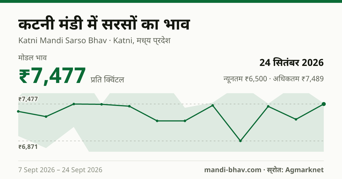 कटनी मंडी में सरसों का भाव 24 सितंबर 2026: मोडल ₹7,477 प्रति क्विंटल, भाव के रुझान का चार्ट