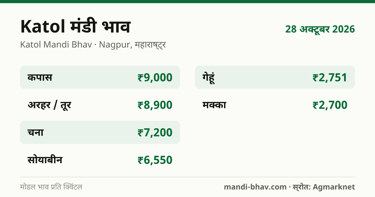 Katol मंडी भाव 28 अक्टूबर 2026: फसलवार मोडल रेट प्रति क्विंटल