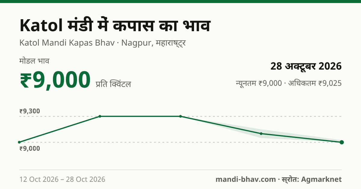 Katol मंडी में कपास का भाव 28 अक्टूबर 2026: मोडल ₹9,000 प्रति क्विंटल, भाव के रुझान का चार्ट