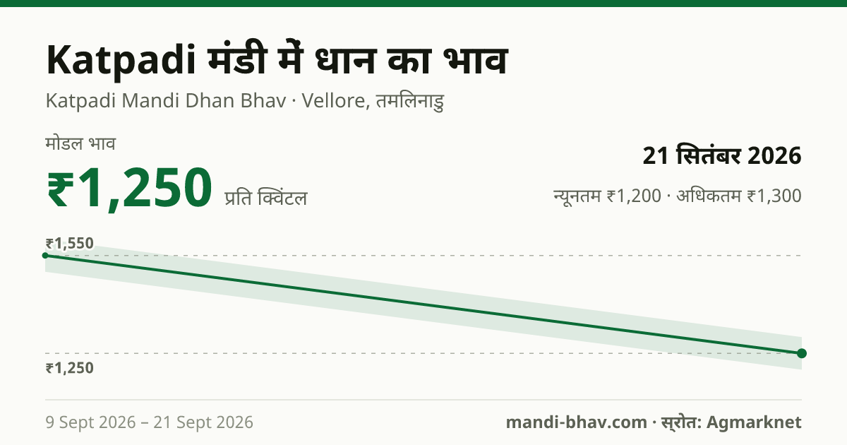 Katpadi मंडी में धान का भाव 21 सितंबर 2026: मोडल ₹1,250 प्रति क्विंटल, भाव के रुझान का चार्ट