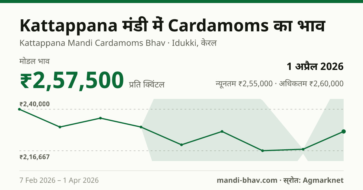 Kattappana मंडी में Cardamoms का भाव 1 अप्रैल 2026: मोडल ₹2,57,500 प्रति क्विंटल, भाव के रुझान का चार्ट
