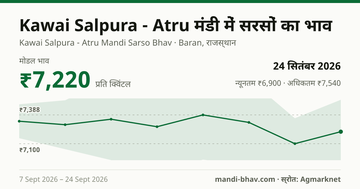 Kawai Salpura - Atru मंडी में सरसों का भाव 24 सितंबर 2026: मोडल ₹7,220 प्रति क्विंटल, भाव के रुझान का चार्ट