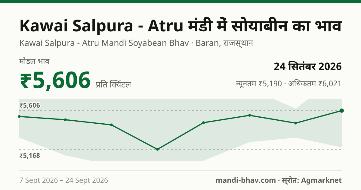 Kawai Salpura - Atru मंडी में सोयाबीन का भाव 24 सितंबर 2026: मोडल ₹5,606 प्रति क्विंटल, भाव के रुझान का चार्ट