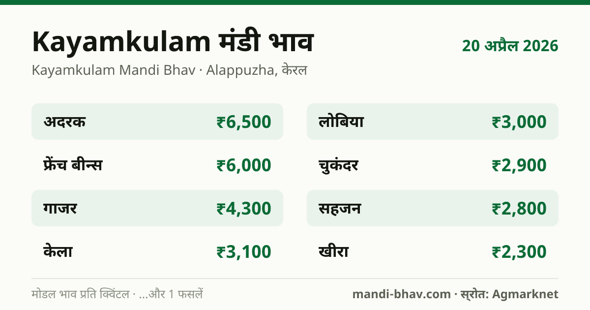 Kayamkulam मंडी भाव 20 अप्रैल 2026: फसलवार मोडल रेट प्रति क्विंटल