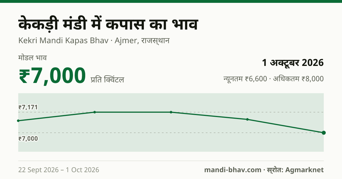केकड़ी मंडी में कपास का भाव 1 अक्टूबर 2026: मोडल ₹7,000 प्रति क्विंटल, भाव के रुझान का चार्ट