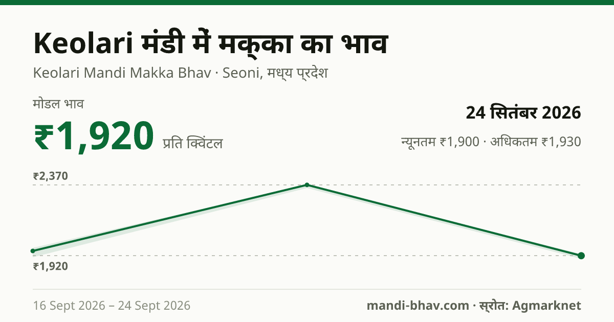 Keolari मंडी में मक्का का भाव 24 सितंबर 2026: मोडल ₹1,920 प्रति क्विंटल, भाव के रुझान का चार्ट
