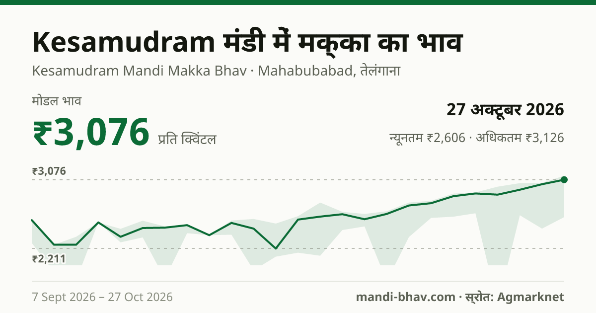 Kesamudram मंडी में मक्का का भाव 27 अक्टूबर 2026: मोडल ₹3,076 प्रति क्विंटल, भाव के रुझान का चार्ट