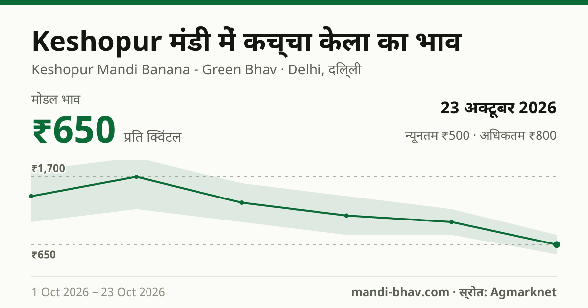 Keshopur मंडी में कच्चा केला का भाव 23 अक्टूबर 2026: मोडल ₹650 प्रति क्विंटल, भाव के रुझान का चार्ट