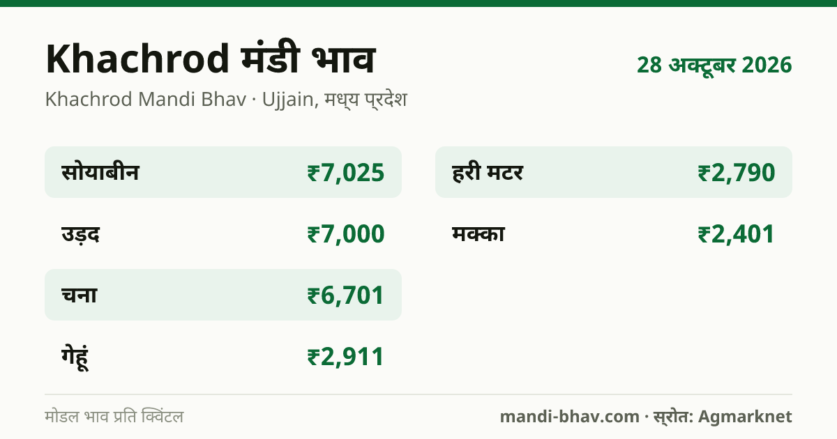 Khachrod मंडी भाव 28 अक्टूबर 2026: फसलवार मोडल रेट प्रति क्विंटल