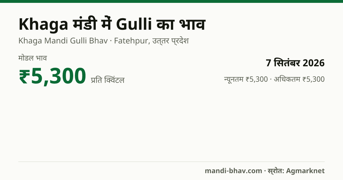 Khaga मंडी में Gulli का भाव 7 सितंबर 2026: मोडल ₹5,300 प्रति क्विंटल, भाव के रुझान का चार्ट