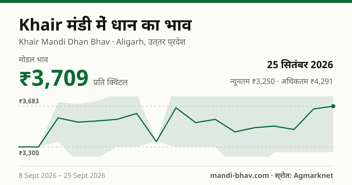 Khair मंडी में धान का भाव 25 सितंबर 2026: मोडल ₹3,709 प्रति क्विंटल, भाव के रुझान का चार्ट