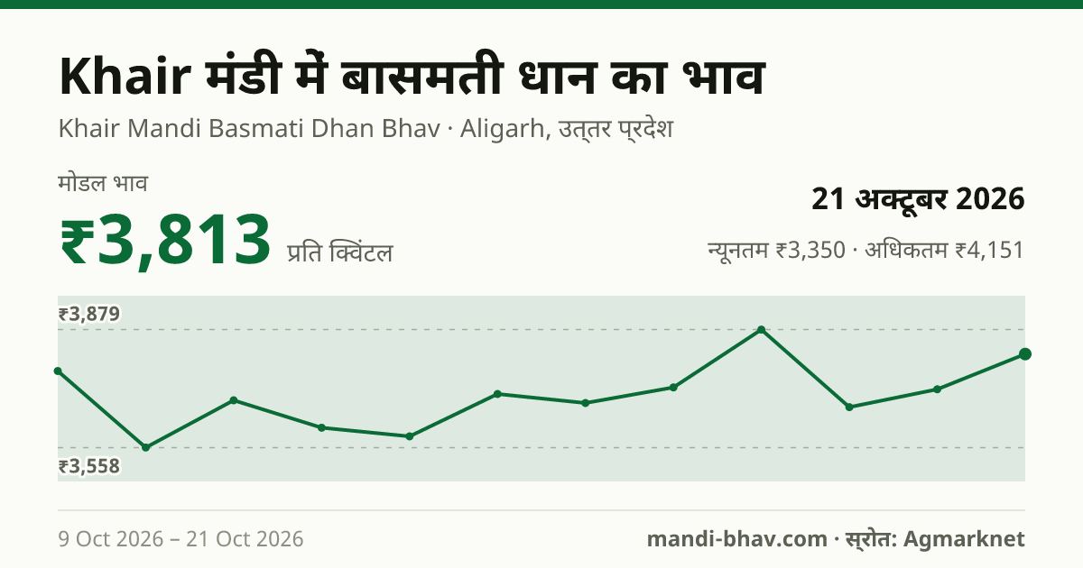 Khair मंडी में Paddy(Basmati) का भाव 21 अक्टूबर 2026: मोडल ₹3,813 प्रति क्विंटल, भाव के रुझान का चार्ट