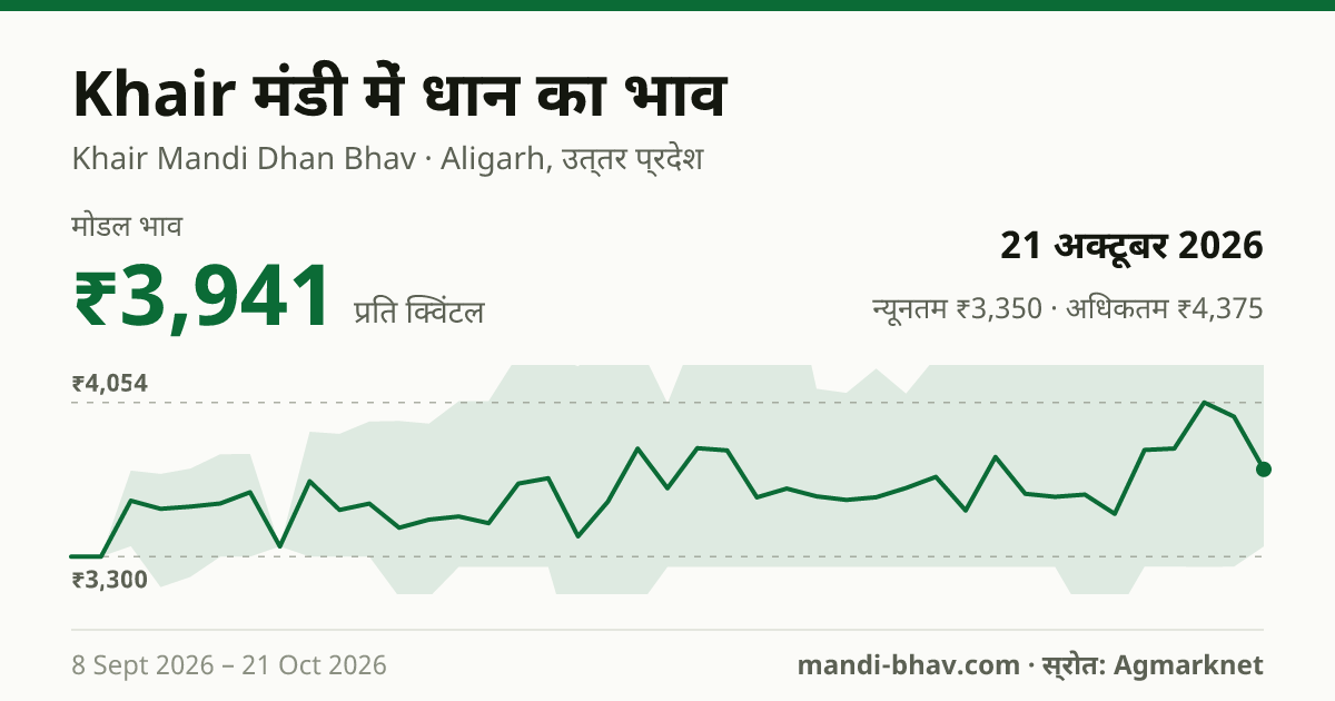 Khair मंडी में धान का भाव 21 अक्टूबर 2026: मोडल ₹3,941 प्रति क्विंटल, भाव के रुझान का चार्ट