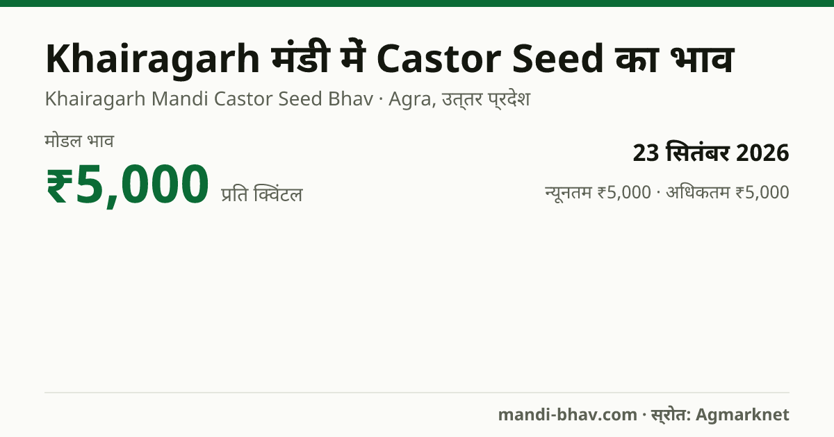 Khairagarh मंडी में Castor Seed का भाव 23 सितंबर 2026: मोडल ₹5,000 प्रति क्विंटल, भाव के रुझान का चार्ट
