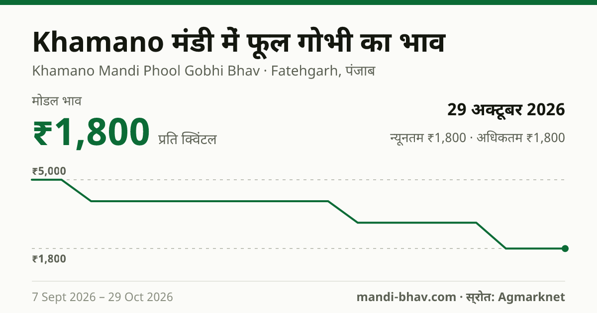 Khamano मंडी में फूल गोभी का भाव 29 अक्टूबर 2026: मोडल ₹1,800 प्रति क्विंटल, भाव के रुझान का चार्ट