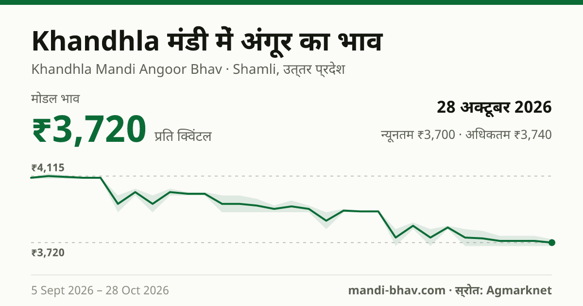 Khandhla मंडी में अंगूर का भाव 28 अक्टूबर 2026: मोडल ₹3,720 प्रति क्विंटल, भाव के रुझान का चार्ट