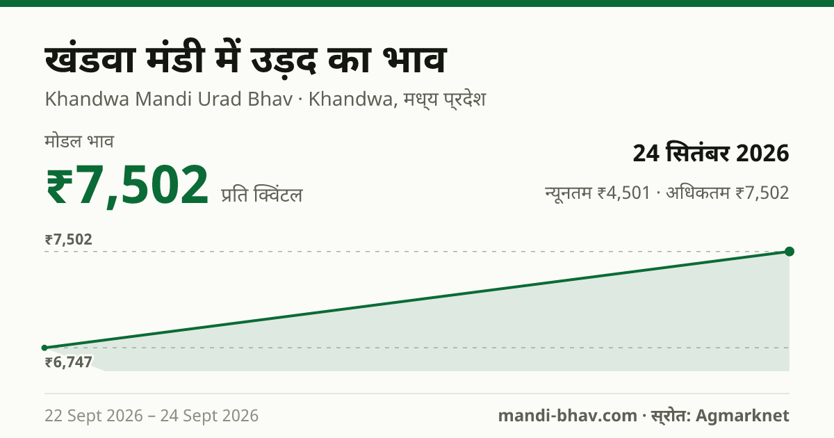 खंडवा मंडी में उड़द का भाव 24 सितंबर 2026: मोडल ₹7,502 प्रति क्विंटल, भाव के रुझान का चार्ट