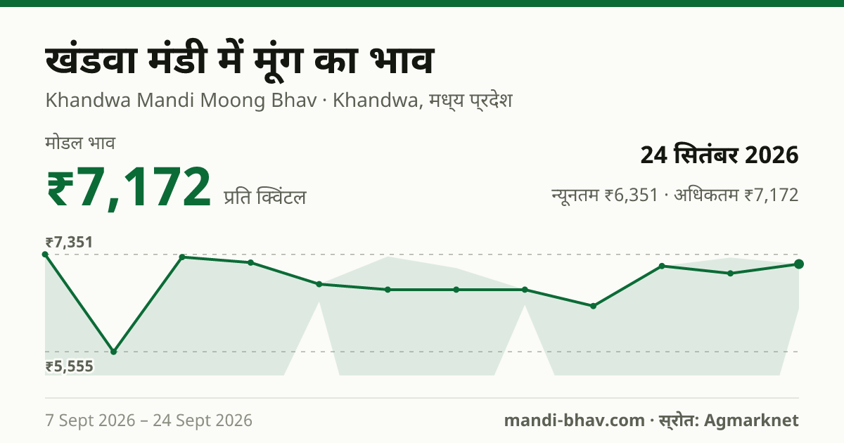 खंडवा मंडी में मूंग का भाव 24 सितंबर 2026: मोडल ₹7,172 प्रति क्विंटल, भाव के रुझान का चार्ट
