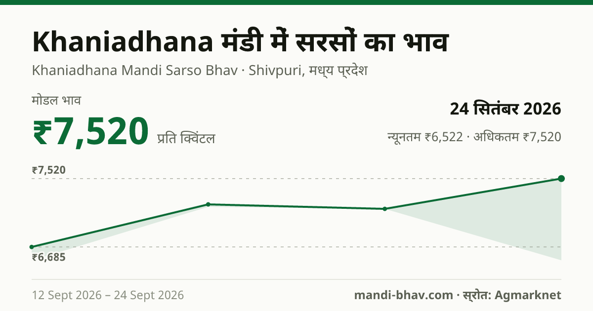 Khaniadhana मंडी में सरसों का भाव 24 सितंबर 2026: मोडल ₹7,520 प्रति क्विंटल, भाव के रुझान का चार्ट