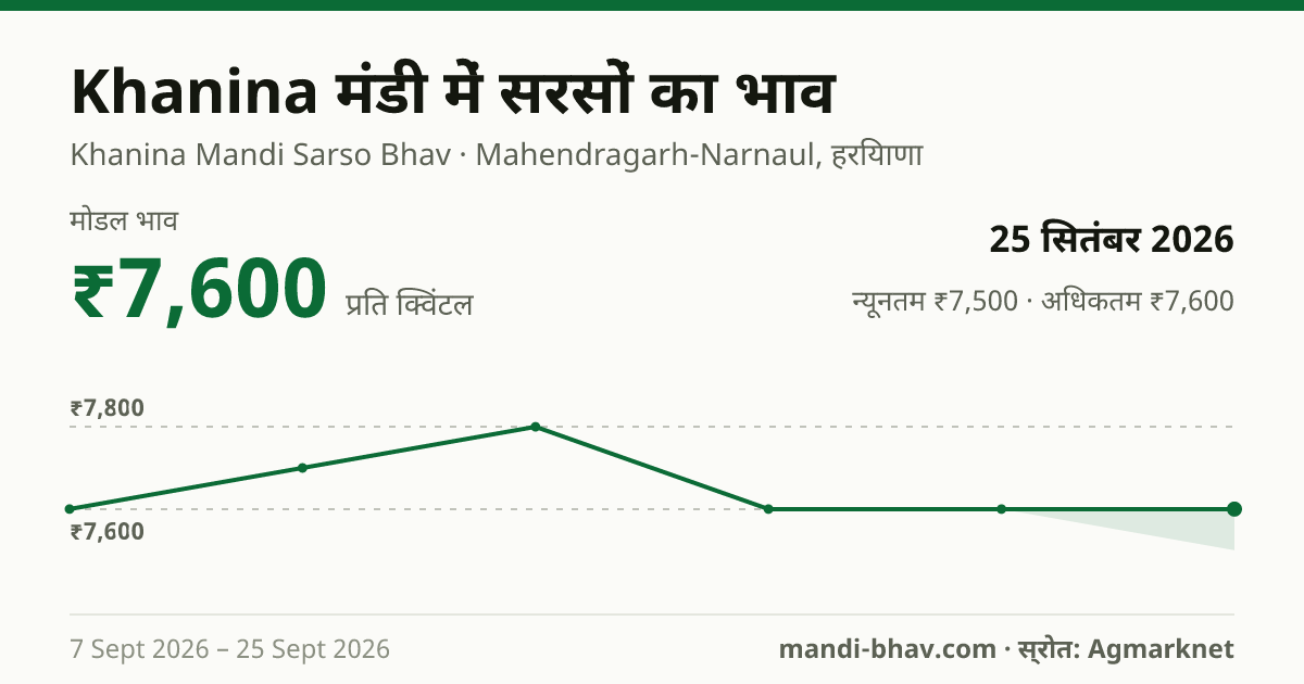 Khanina मंडी में सरसों का भाव 25 सितंबर 2026: मोडल ₹7,600 प्रति क्विंटल, भाव के रुझान का चार्ट